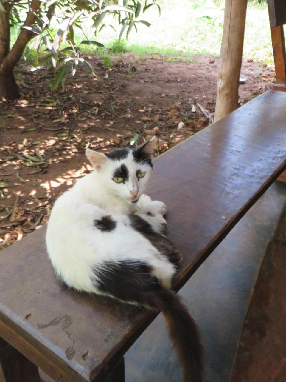 Bahati Diani House Glamping Diani Beach Kültér fotó