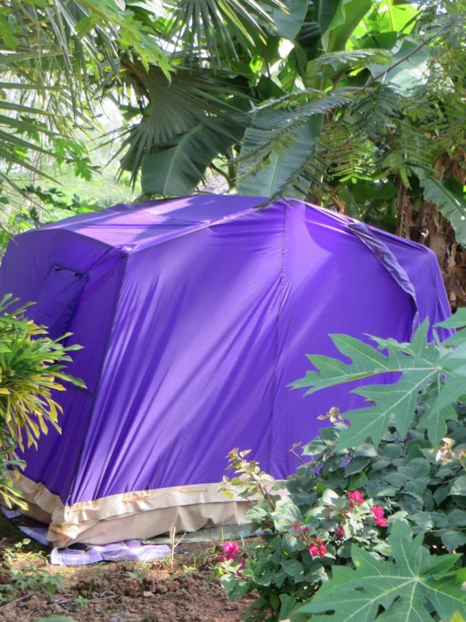 Bahati Diani House Glamping Diani Beach Kültér fotó